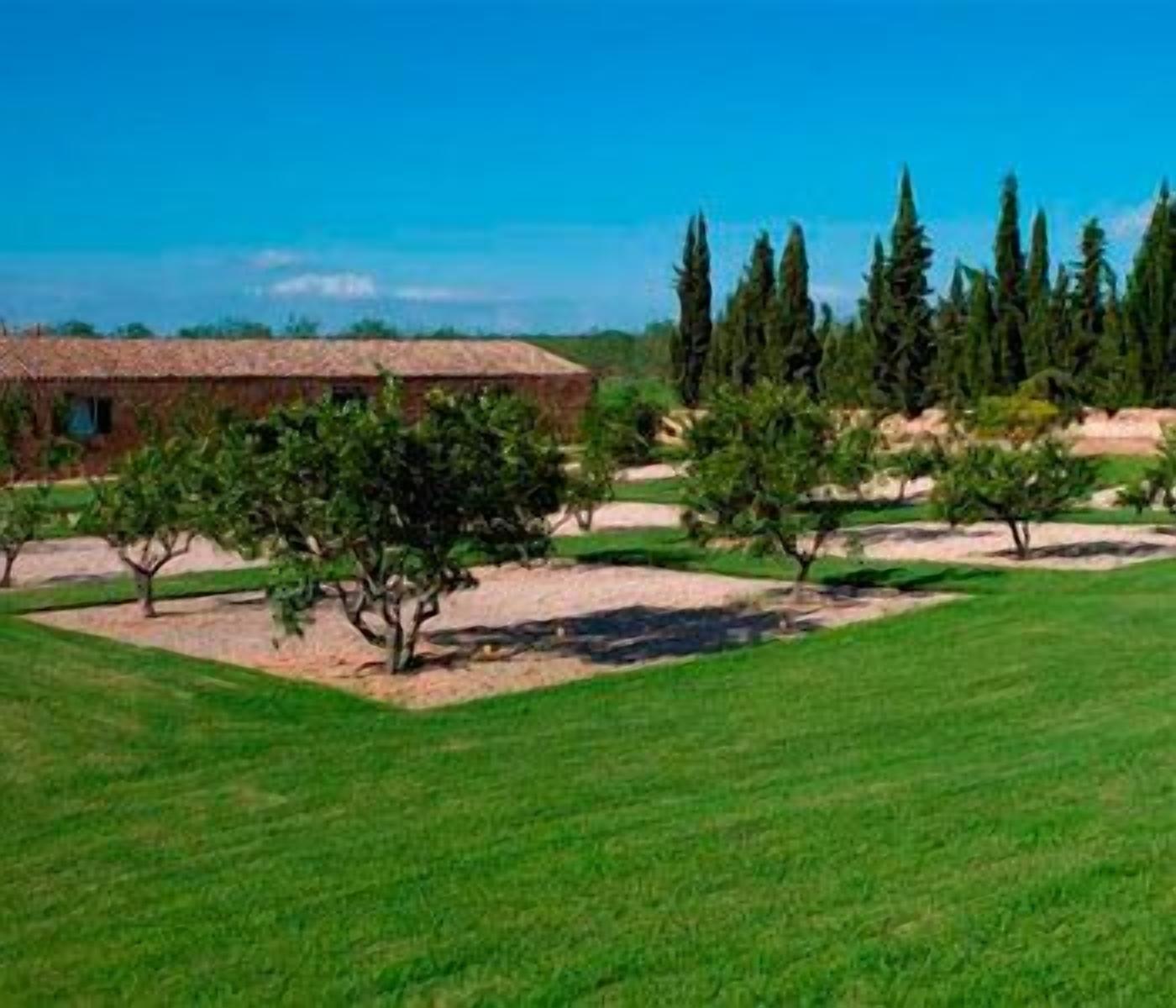 Photo - Son Bernadinet