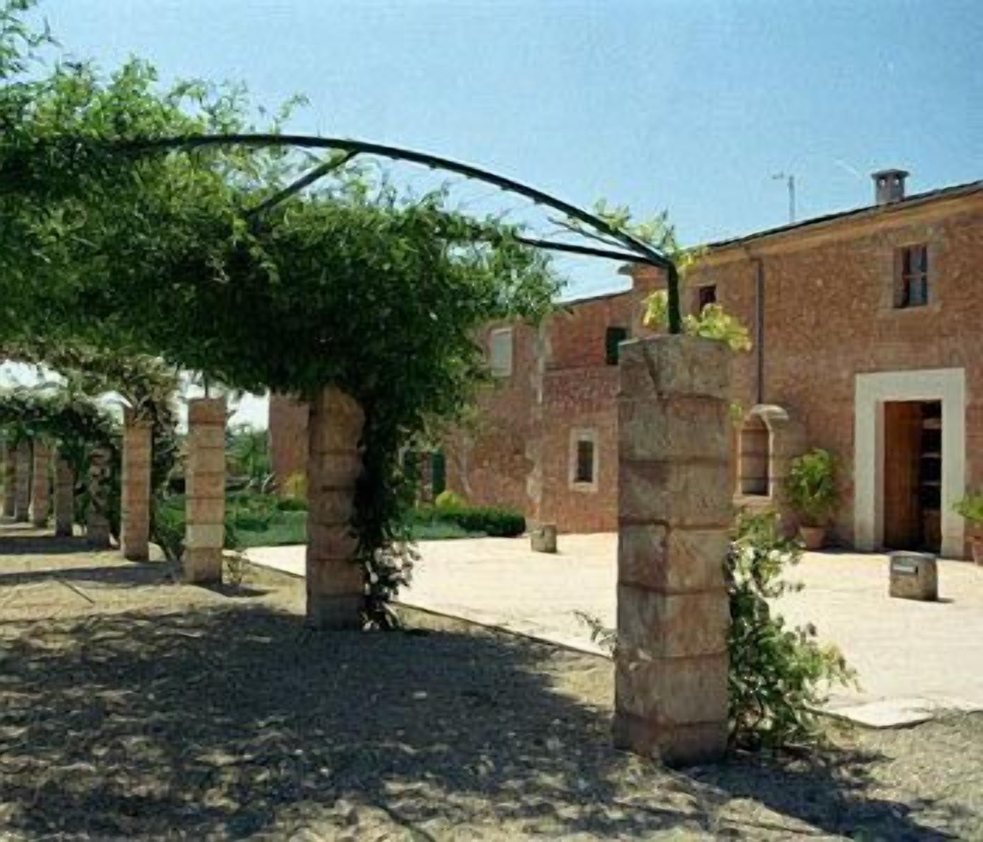 Photo - Son Bernadinet