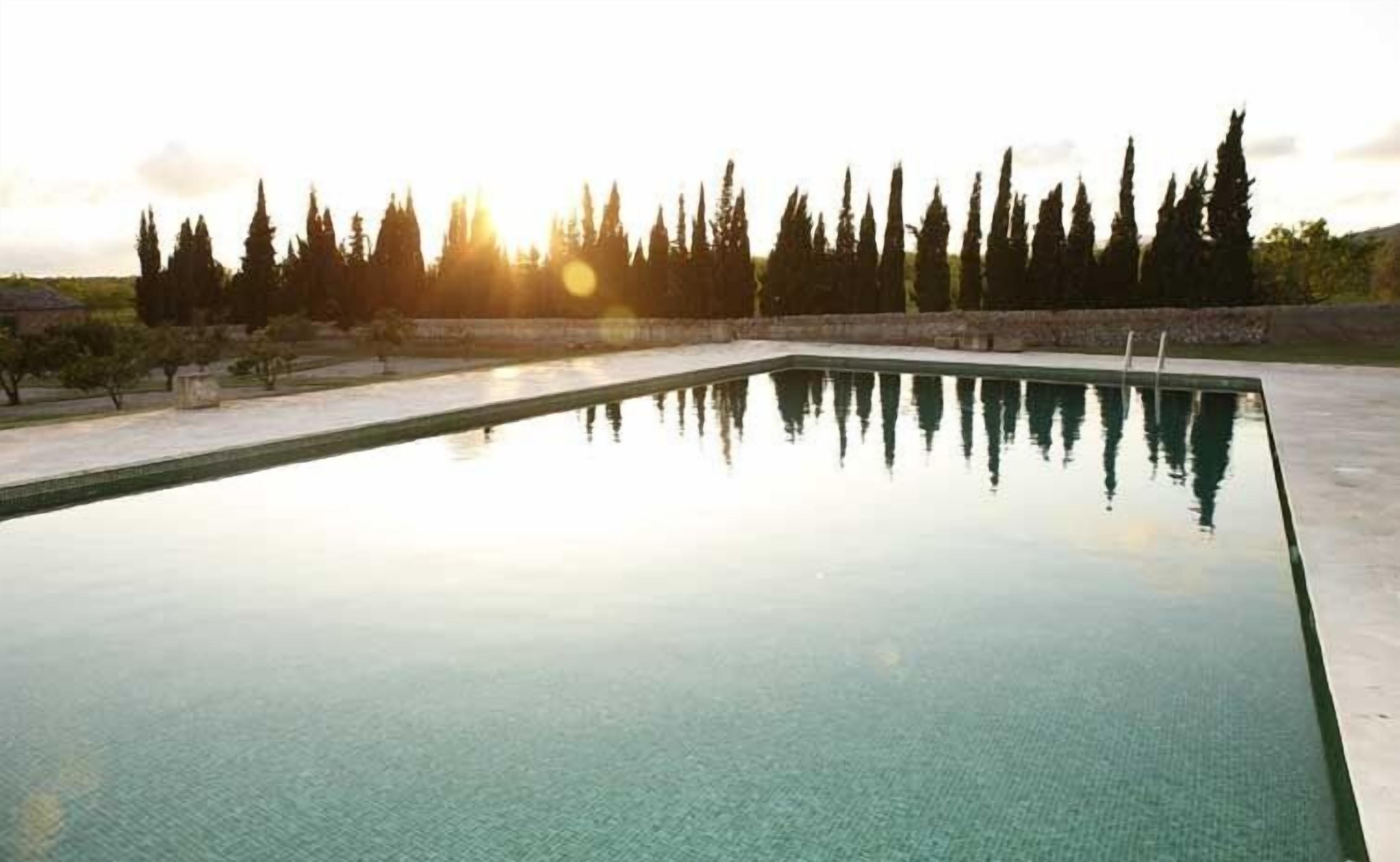 A rectangular infinity pool with clear water reflecting trees and the sky.