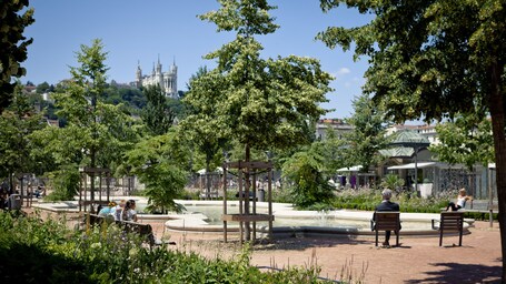Fuente