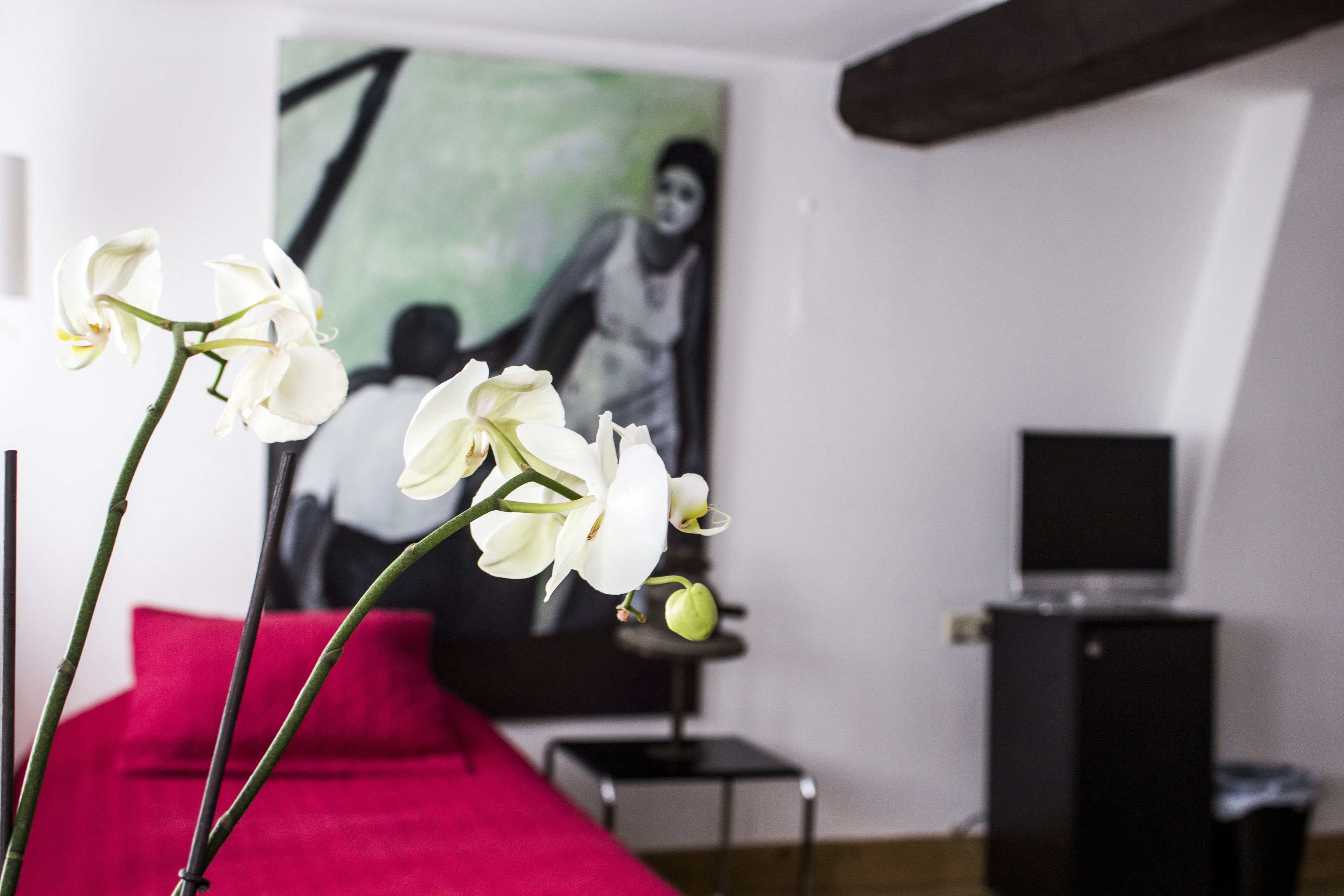 Foto - Hotel Dis