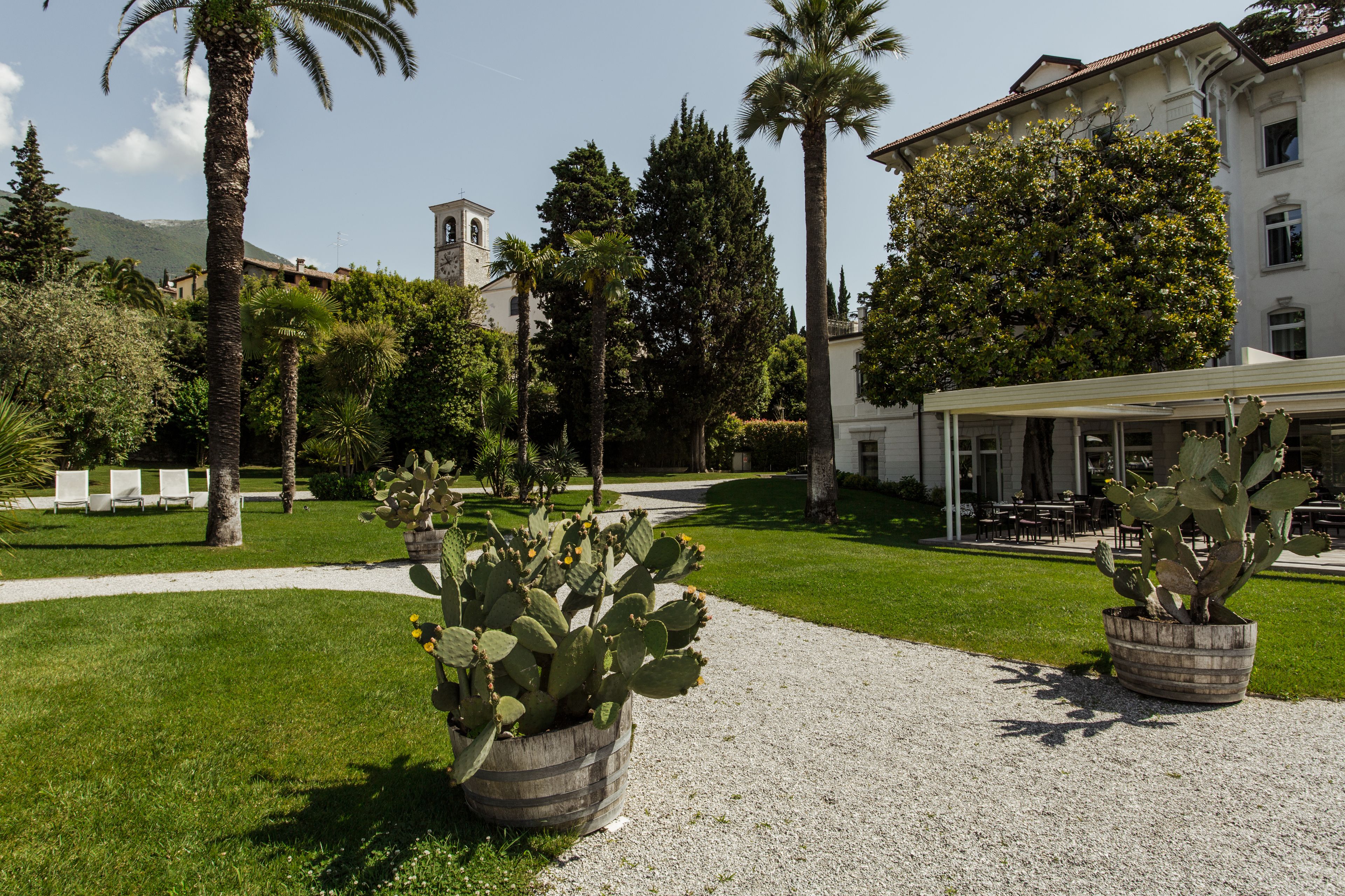 A courtyard with a cactus plant, palm trees, and a building with a covered patio area.
