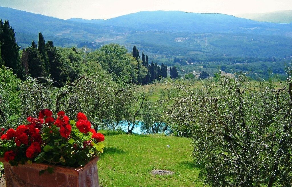 Vista des de l'allotjament