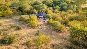 A house surrounded by dense greenery, with a pool and outdoor seating area. - Mohlabetsi Safari Lodge (Hoedspruit)