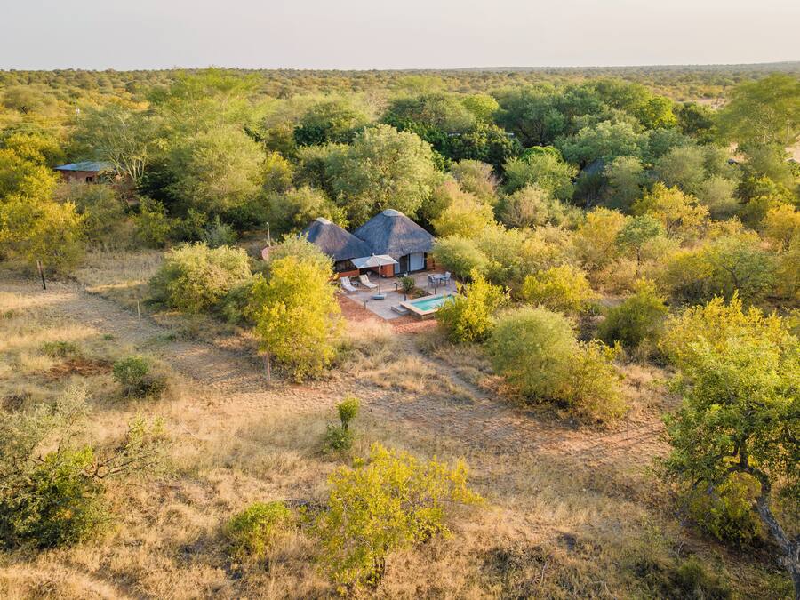 Una casa rodeada de abundante vegetación, con piscina y zona de estar al aire libre.
