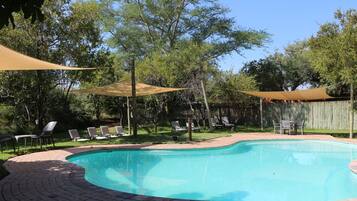 Outdoor pool, sun loungers