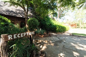 Recepção