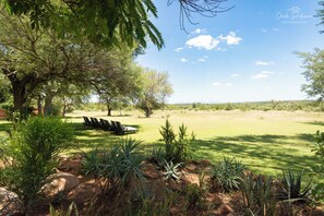 View from property - Mohlabetsi Safari Lodge (Hoedspruit)