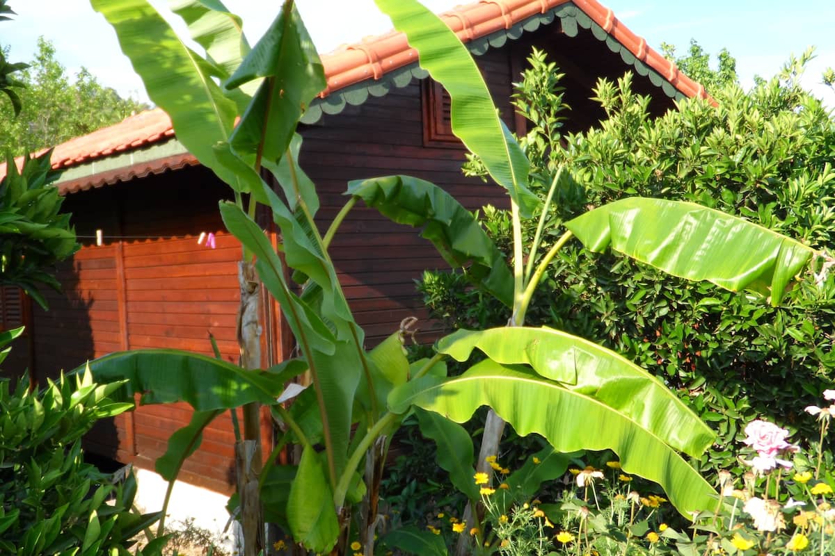 Bungalow | Exterior
