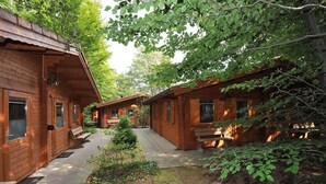 A row of wooden cabins with a central pathway, surrounded by dense foliage. -  Lodges Veluwse Poort (Dieren)