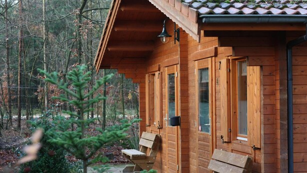 A wooden cabin with a covered porch, benches, and a small tree in the foreground. -  Lodges Veluwse Poort (Dieren)