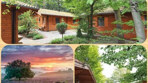 A wooden cabin with a covered porch, a view of a sunset over a field, and a bedroom with a ladder and a bed. -  Lodges Veluwse Poort (Dieren)