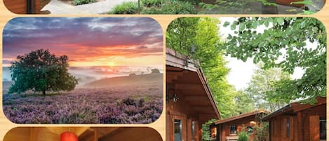 A wooden cabin with a covered porch, a view of a sunset over a field, and a bedroom with a ladder and a bed.