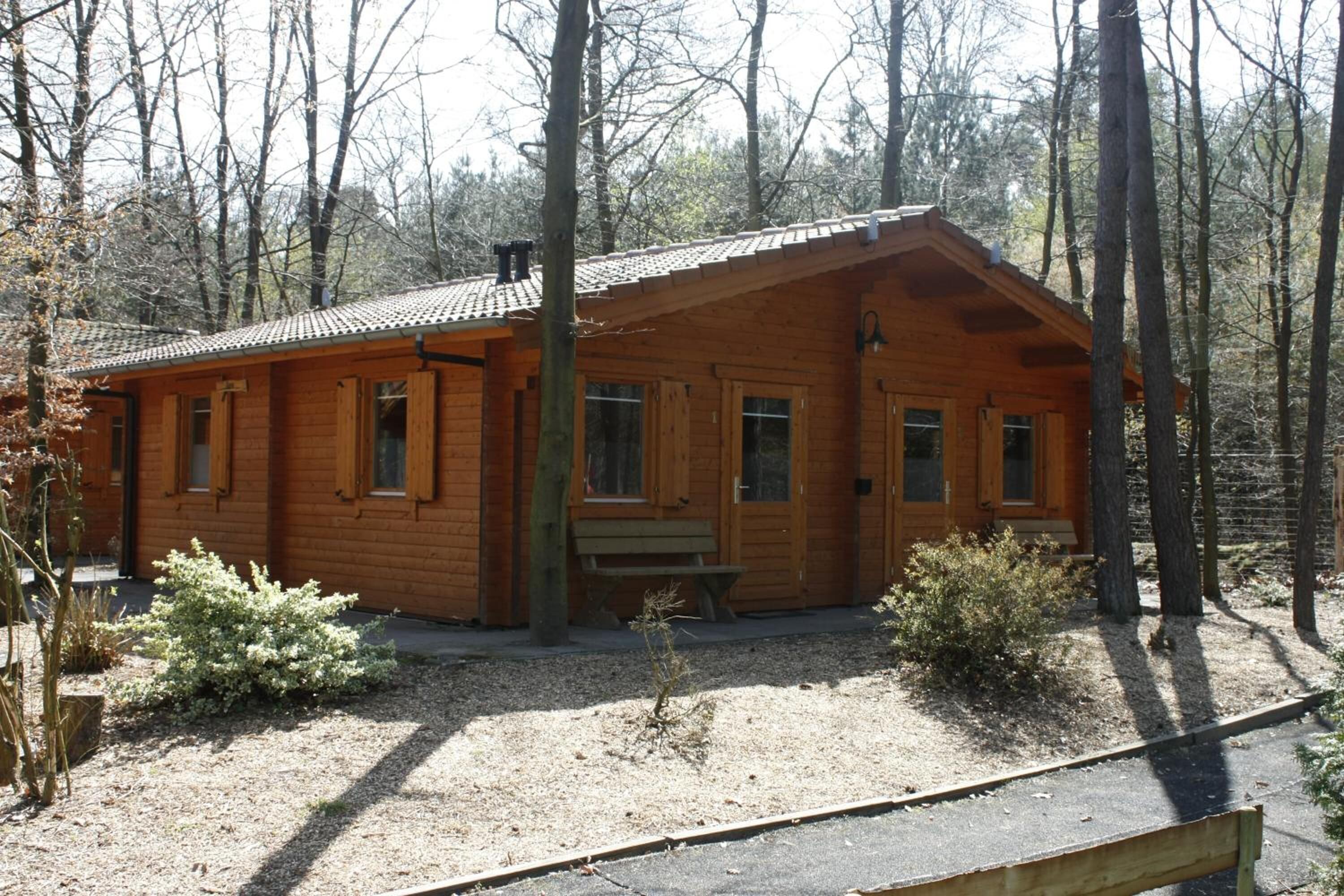 A wooden cabin with a sloped roof, a front porch, and a small garden area.