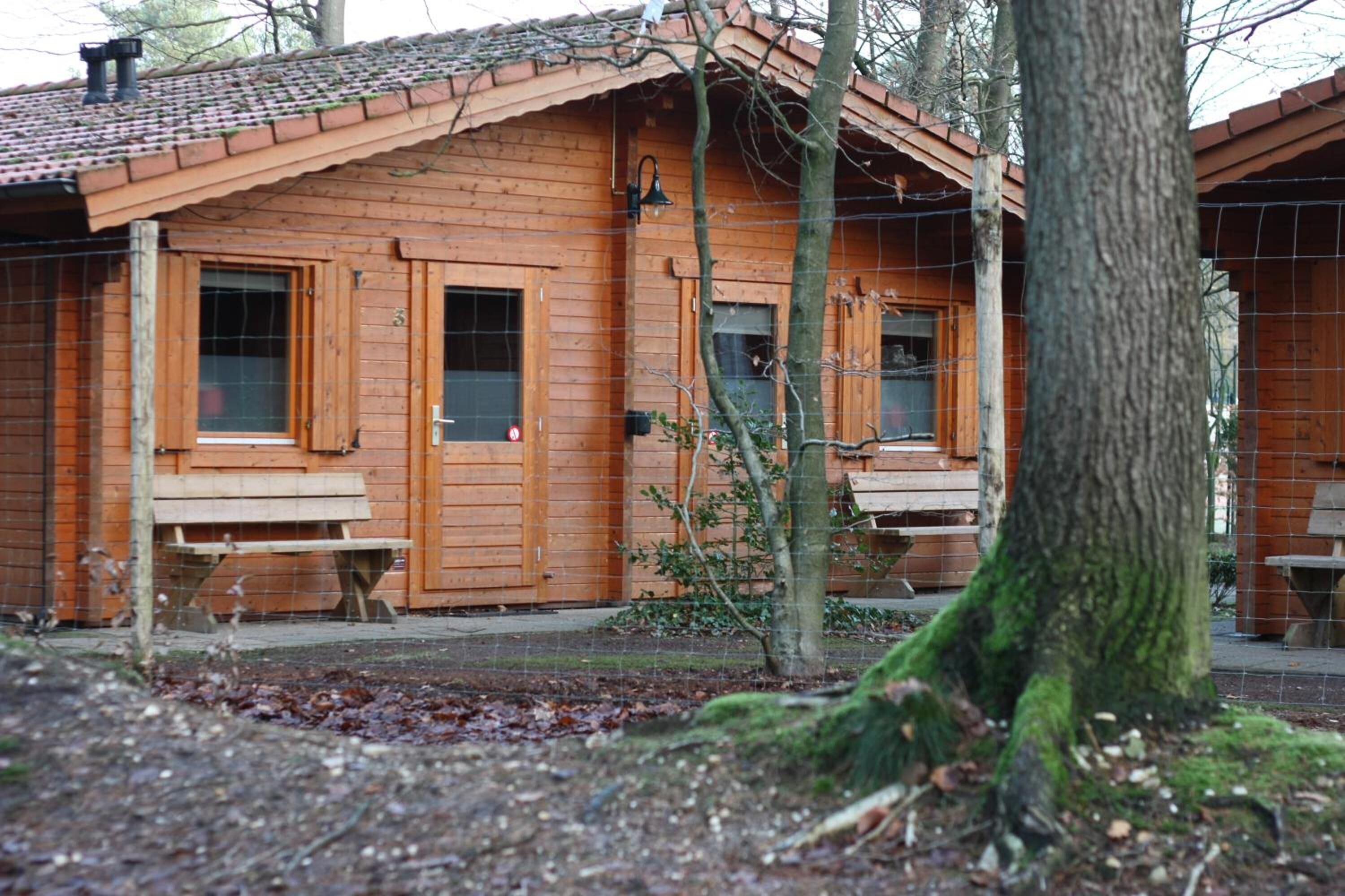 Una cabaña de madera rústica con techo de tejas, un banco afuera y un árbol en primer plano.