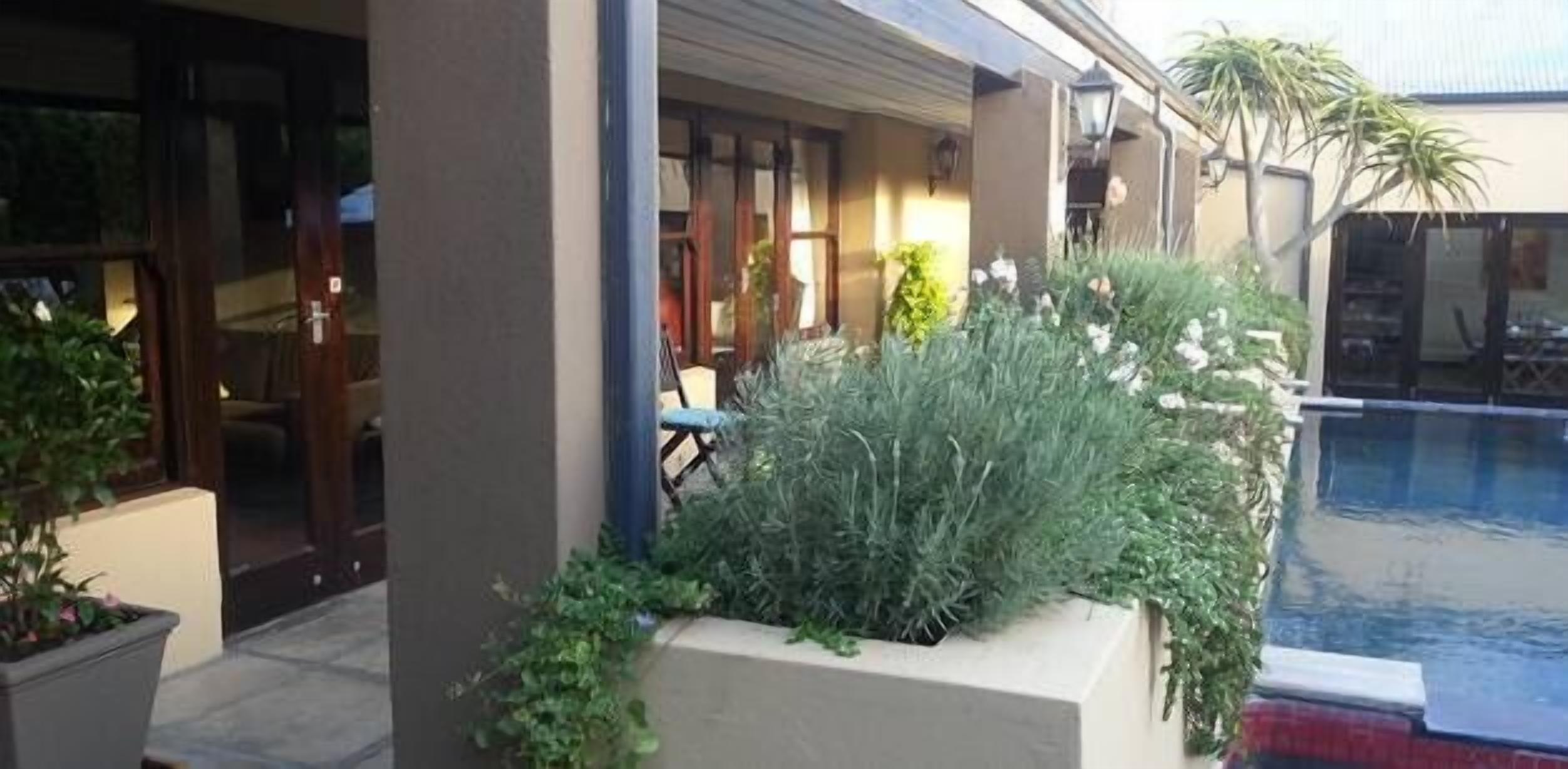 Aloe House, Hermanus: Hotel Reviews, Rooms & Prices | Hotels.com