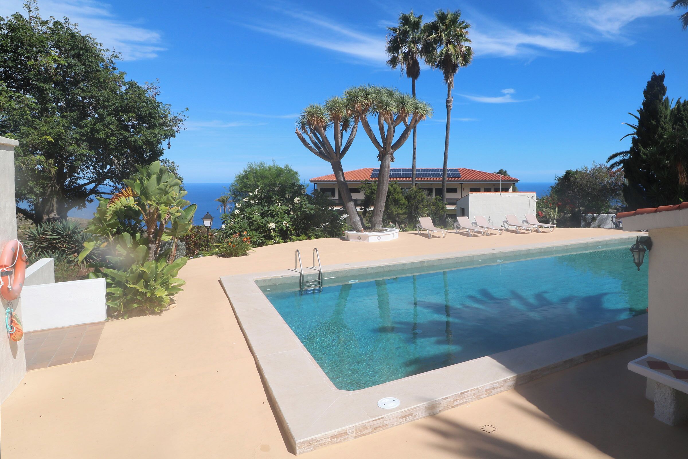 Piscina con vista al océano, rodeada de palmeras y sillas de descanso.