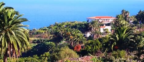 A coastal property with a red-roofed building surrounded by lush greenery and palm trees, overlooking the sea.
