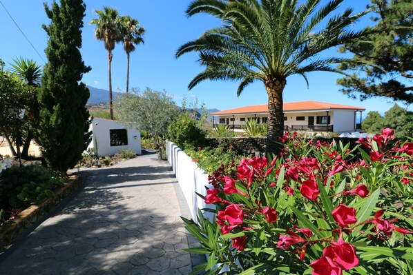 A pathway leading to a building with a red roof, surrounded by lush greenery and flowering plants. - Apartamentos Miranda (Brena Alta)