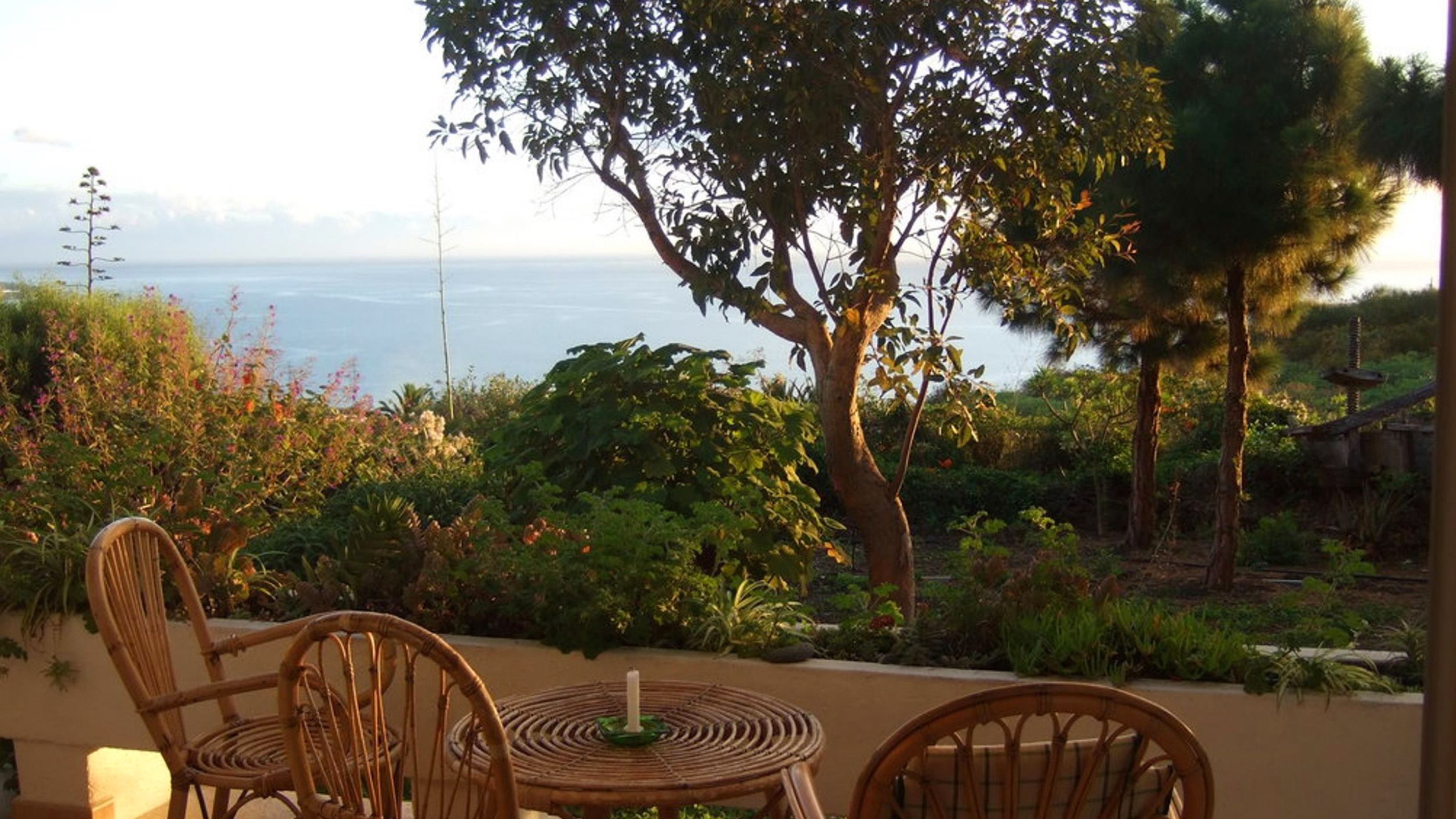 Une terrasse dotée de meubles en osier, offrant une vue sur un jardin et la mer.