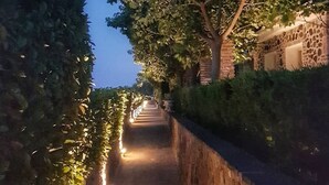 Een pad langs bomen, verlicht door straatverlichting, leidt naar een gebouw met een stenen gevel.
