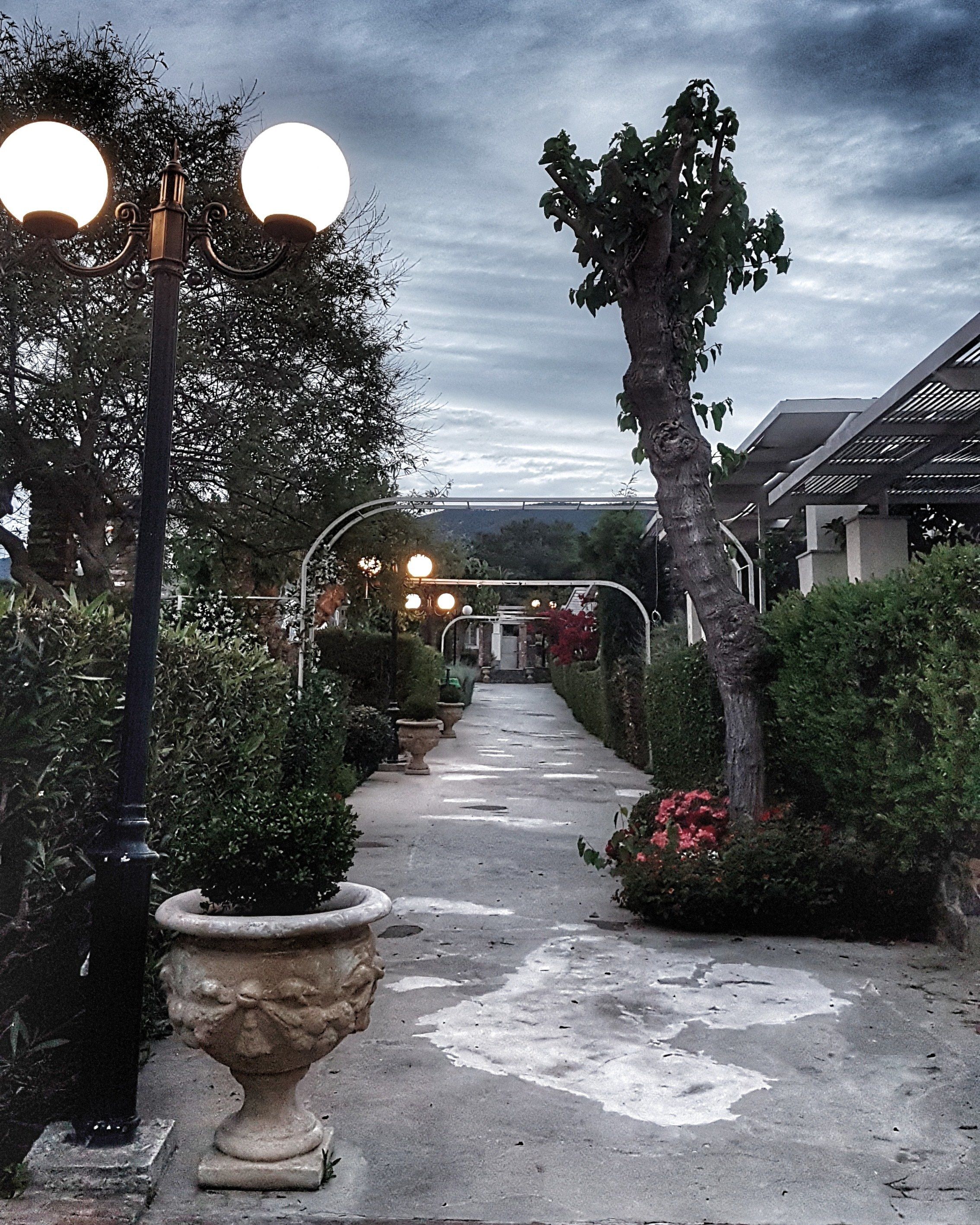 Un chemin bordé de plantes en pot et de lampadaires, qui mène à une zone abritée d’où l’on peut admirer le ciel.