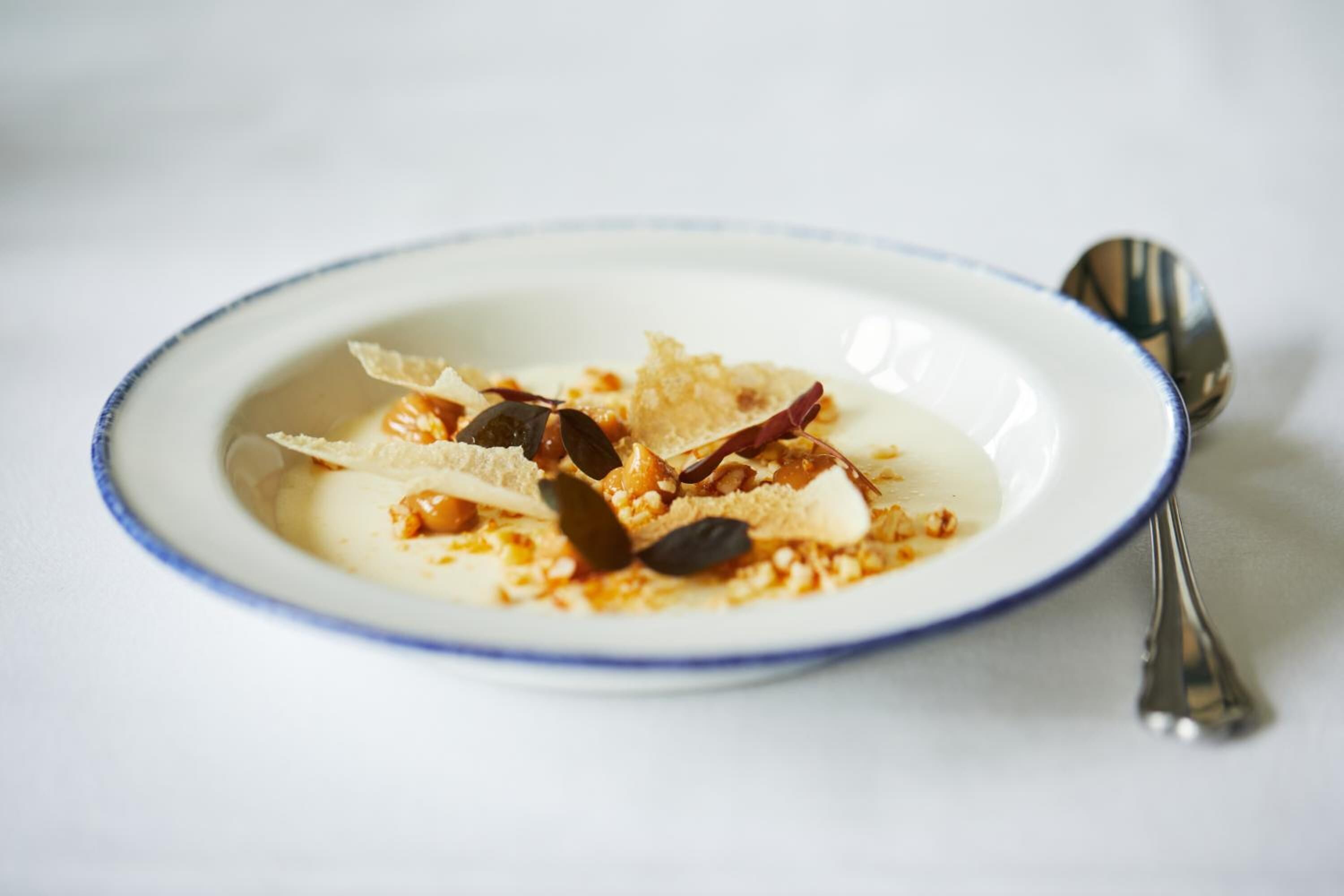Een wit bord met blauwe rand met een dessert, mogelijk yoghurt of pudding, bestrooid met noten en gedroogd fruit, inclusief een lepel.