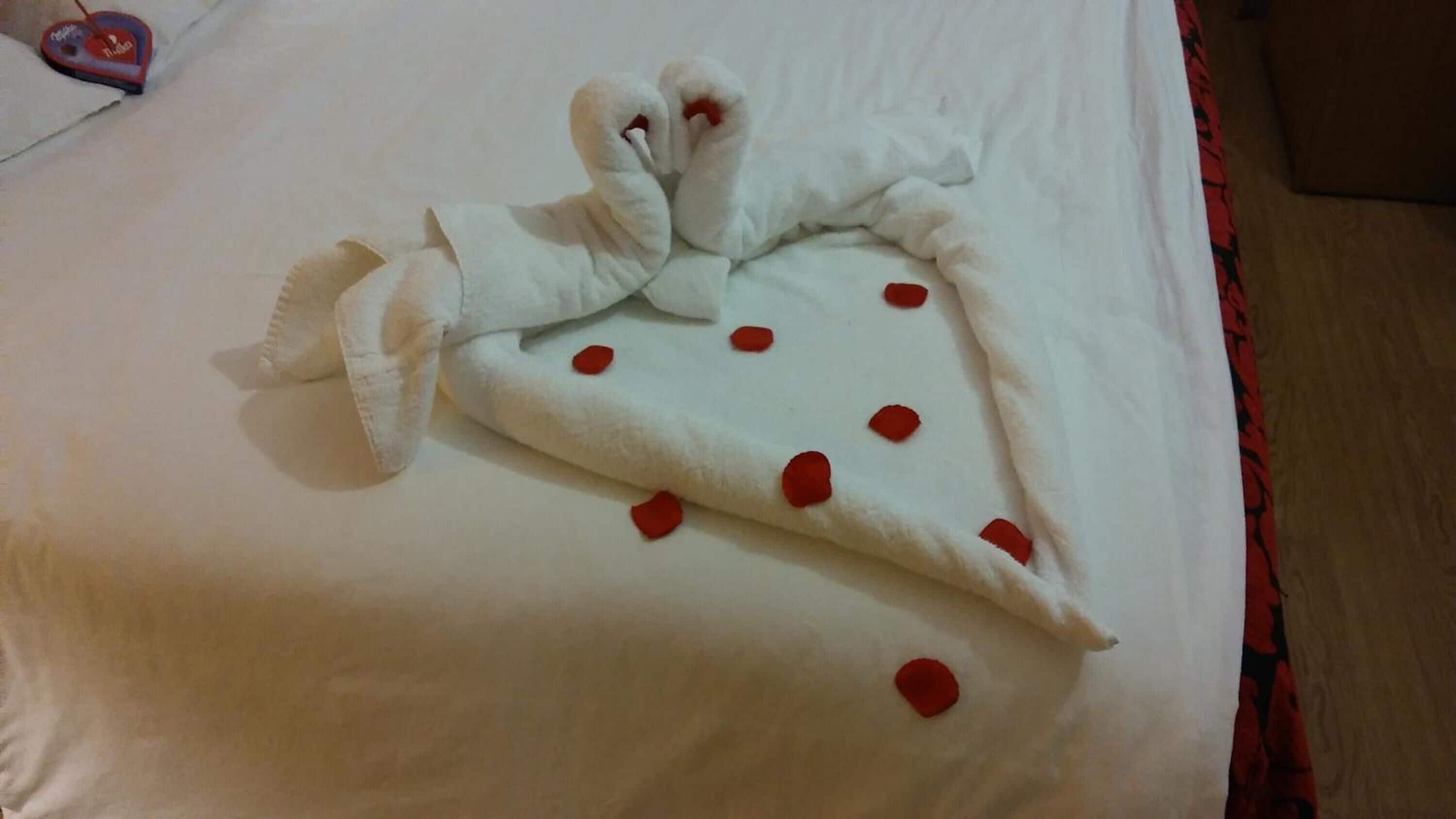 desk, blackout curtains, soundproofing, free wifi