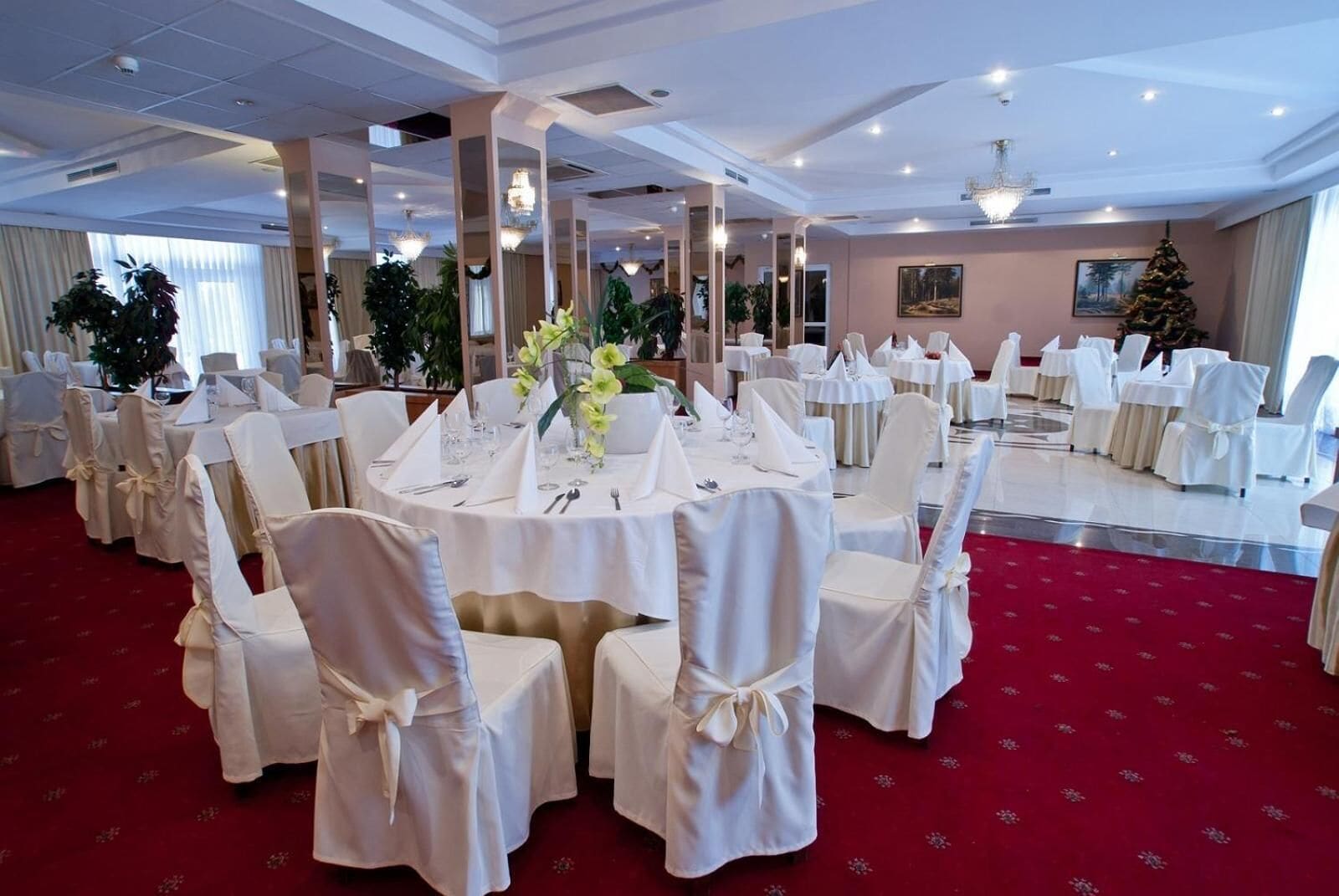 A banquet hall with round tables, white chairs, and a red carpet.