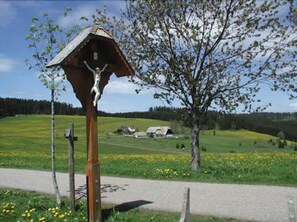 Hiking - Café Pension Feldbergblick (Titisee-Neustadt)