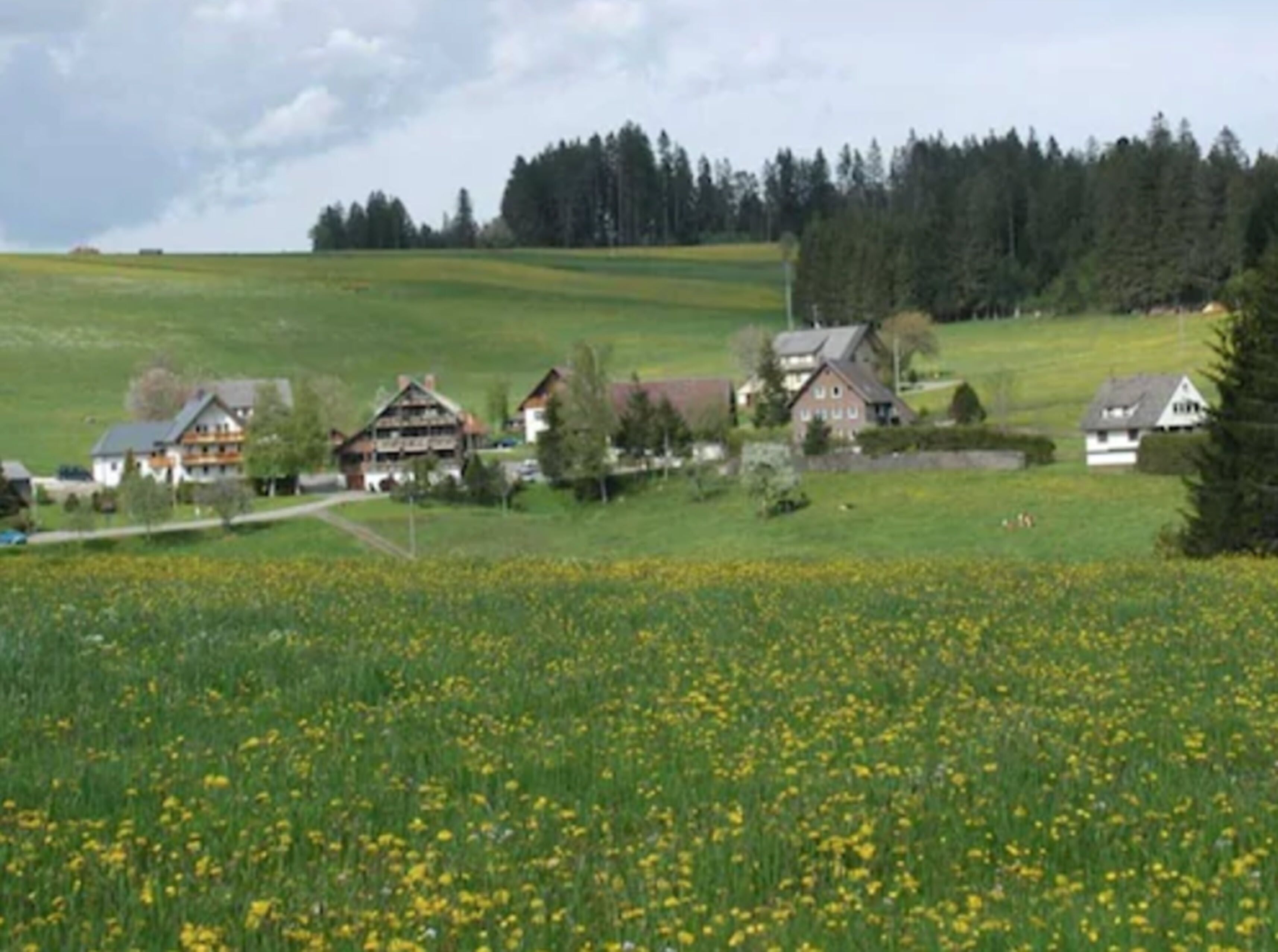Paisaje rural con casas y un campo de flores amarillas.