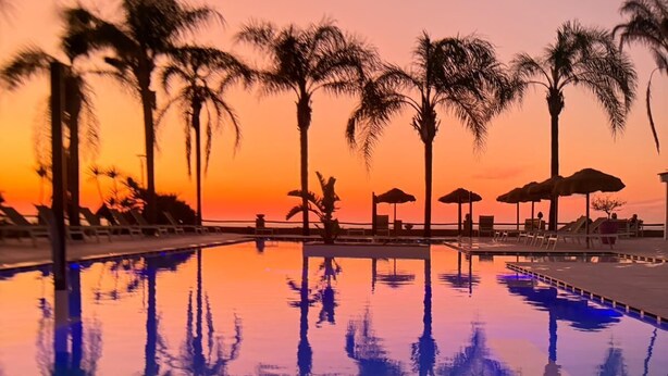 A swimming pool with palm trees and lounge chairs at sunset.