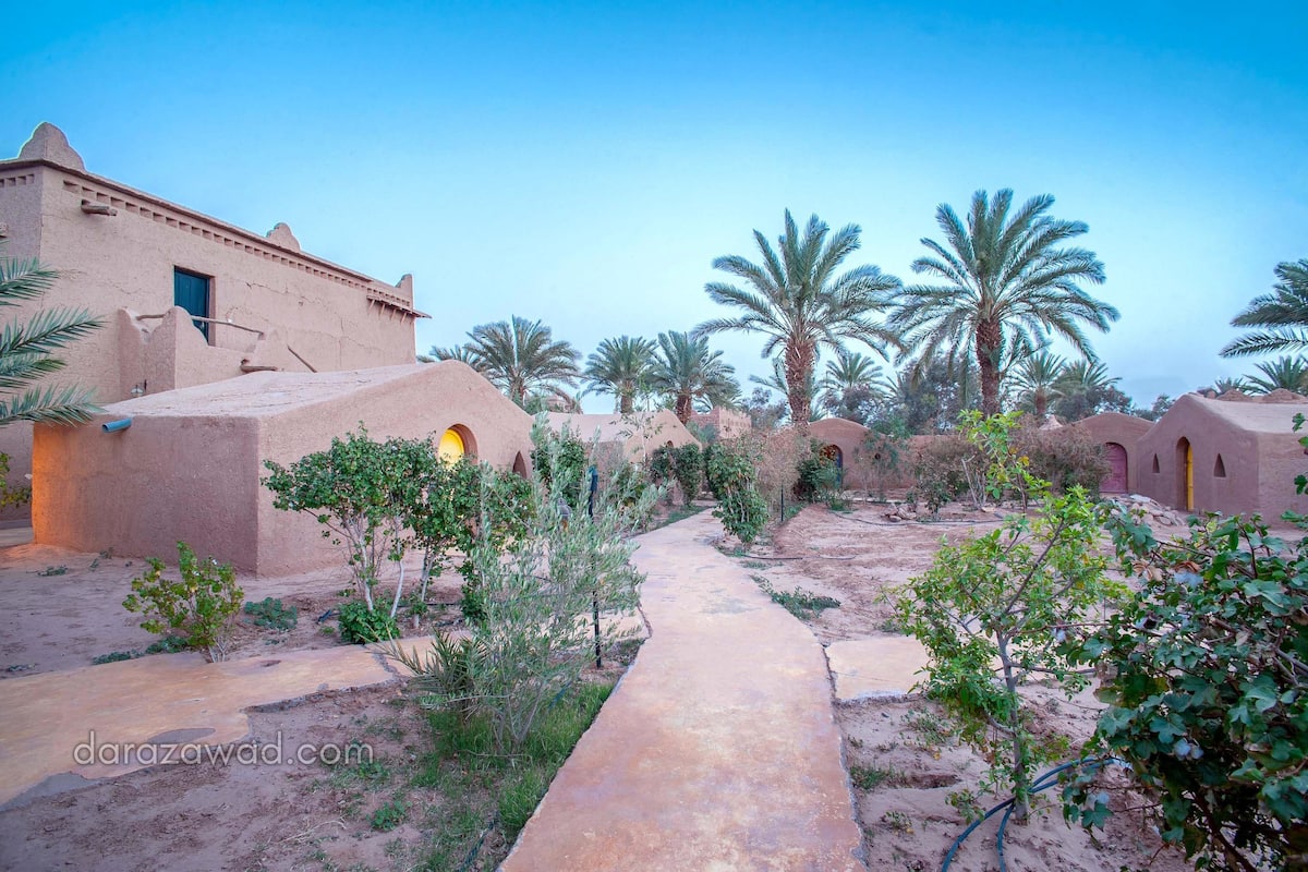 A desert-style building with a pathway leading through a garden with palm trees.