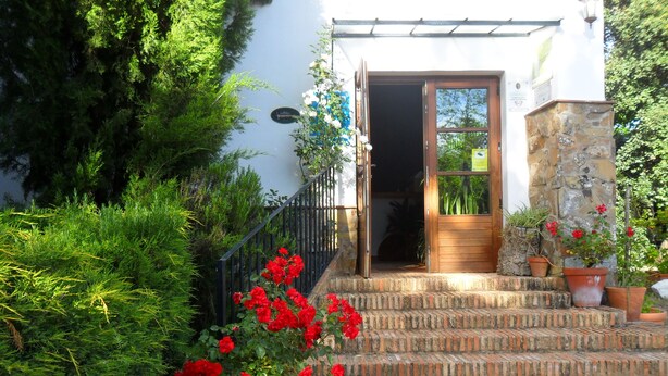 A building with a wooden door, a stone wall, and a brick staircase leading to the entrance. - Hotel Apartamento Rural Finca La Media Legua (Los Marines)
