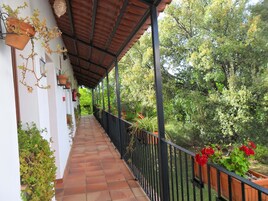 Un balcón cubierto con baldosas de terracota, plantas en macetas y vistas a un jardín exuberante.