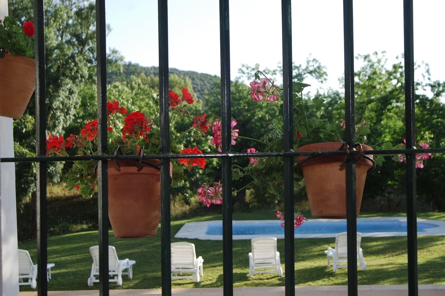 Un balcó amb plantes en testos i vistes a una piscina i seients.