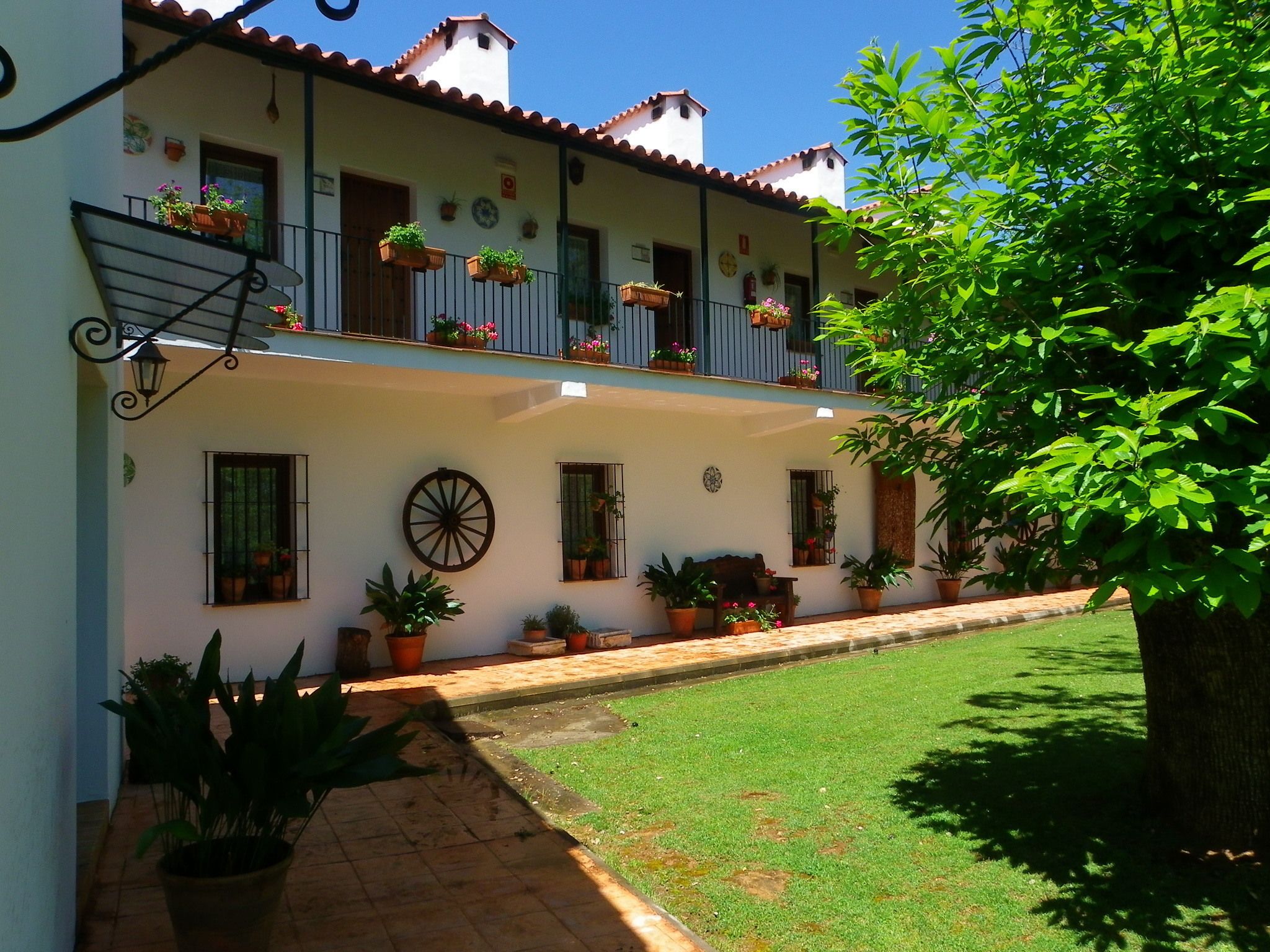 ガーデン ビュー