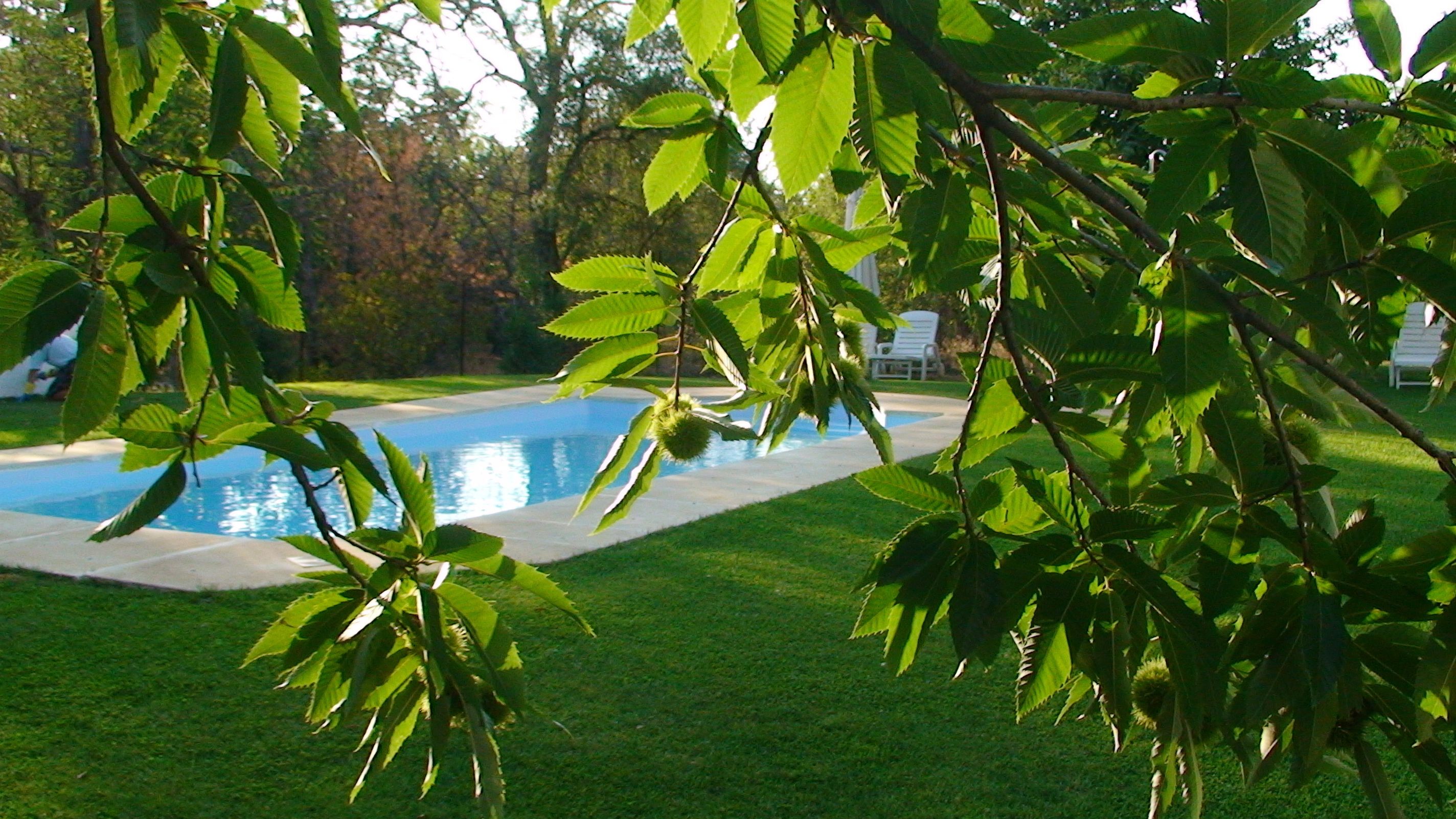 Una piscina rodeada por un césped cuidado y árboles.