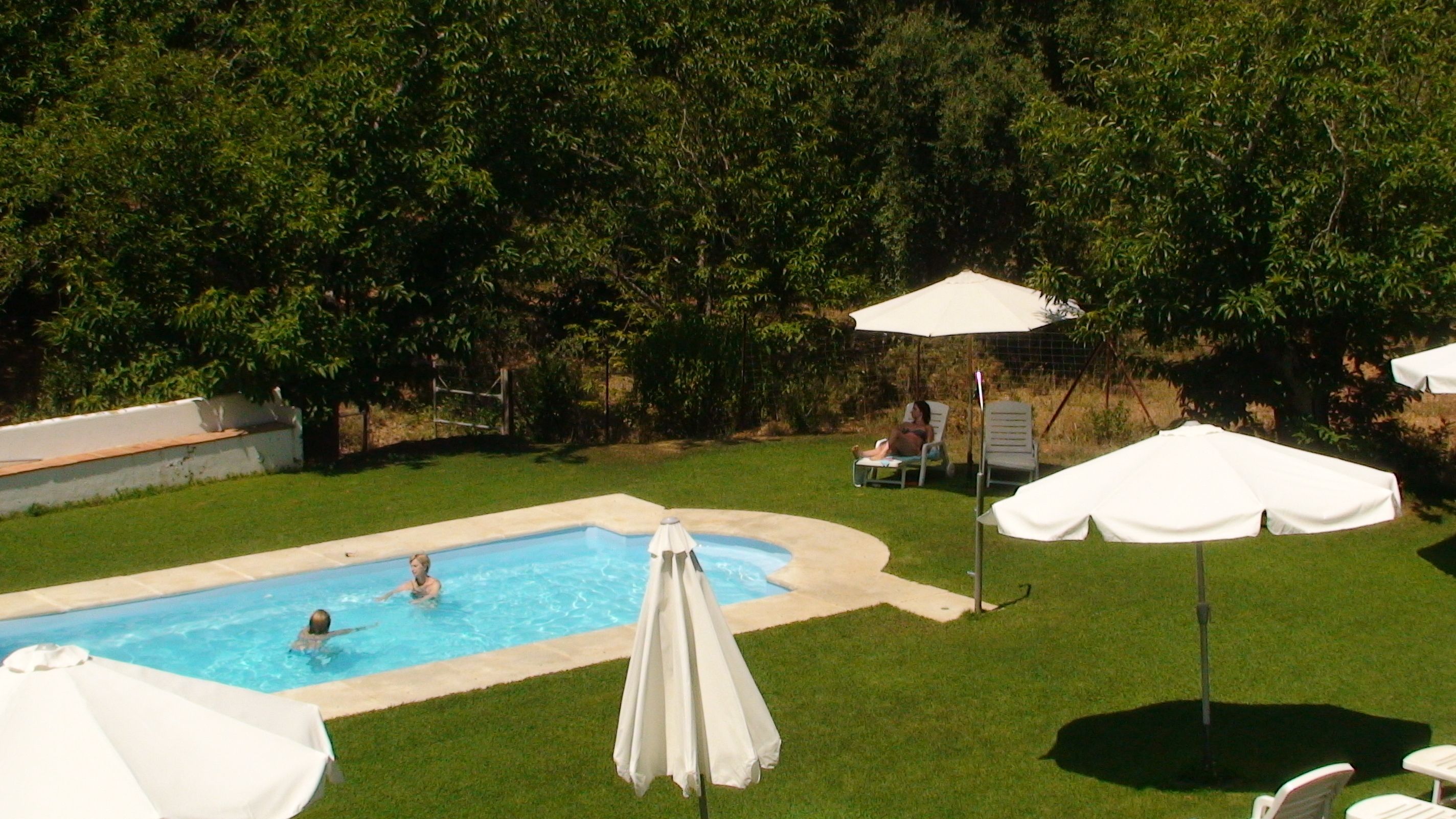 Una piscina con dos personas nadando, rodeada de césped y árboles. Hay sombrillas blancas y sillas alrededor de la piscina.