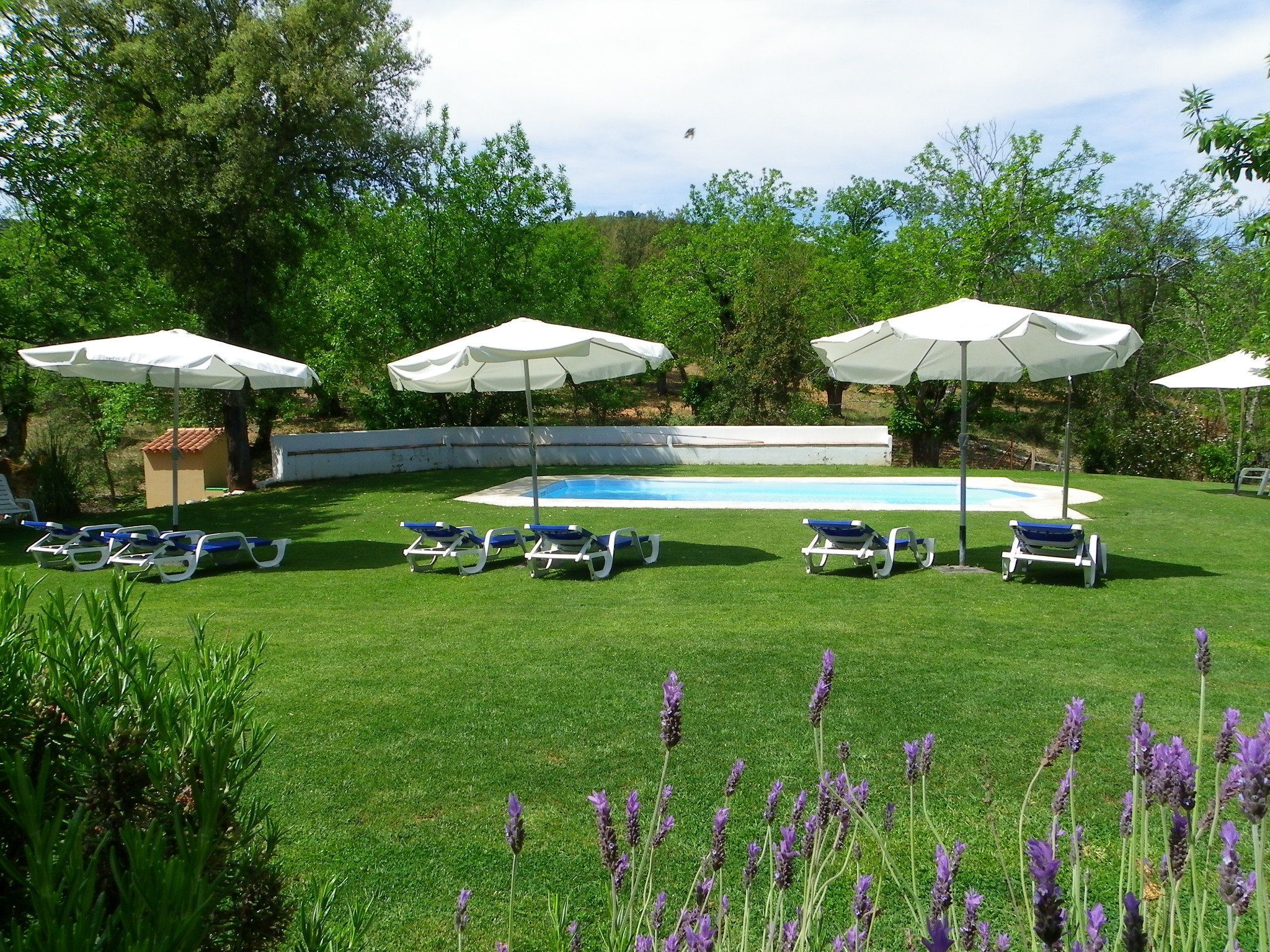 Seasonal outdoor pool, pool umbrellas