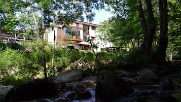 Taman