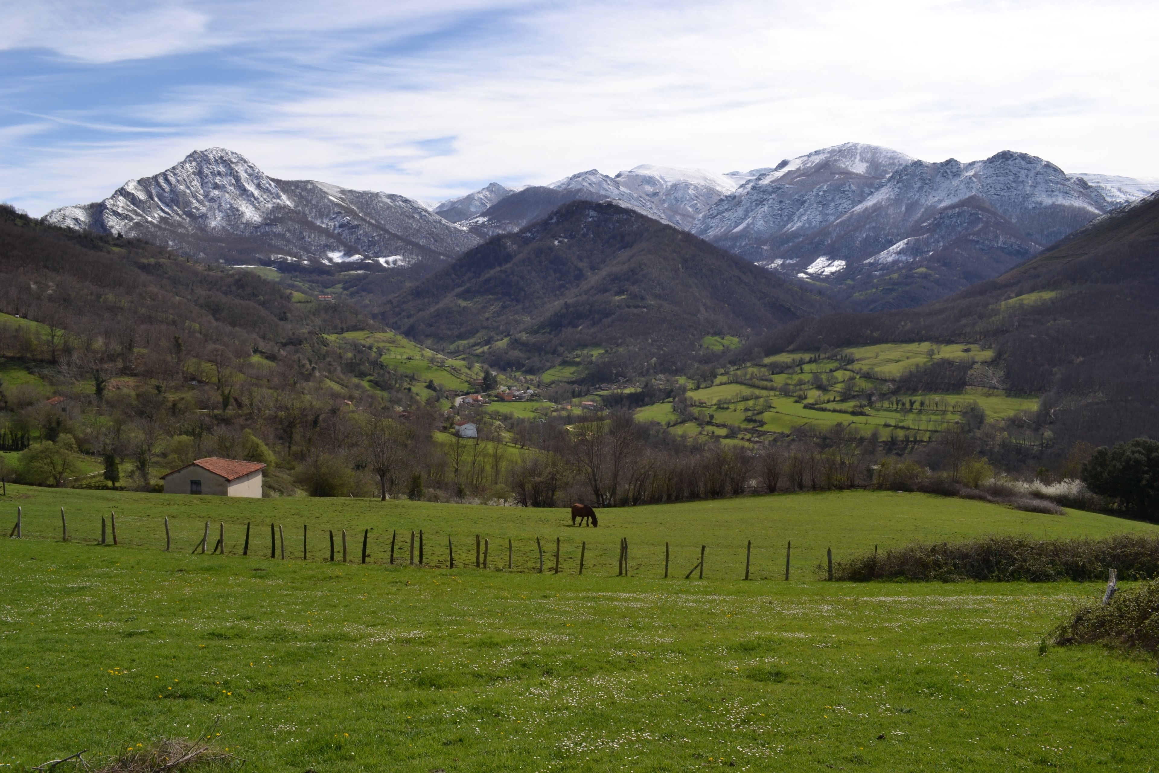 Foto - Alesga Hotel Rural - Valles del Oso -Asturias