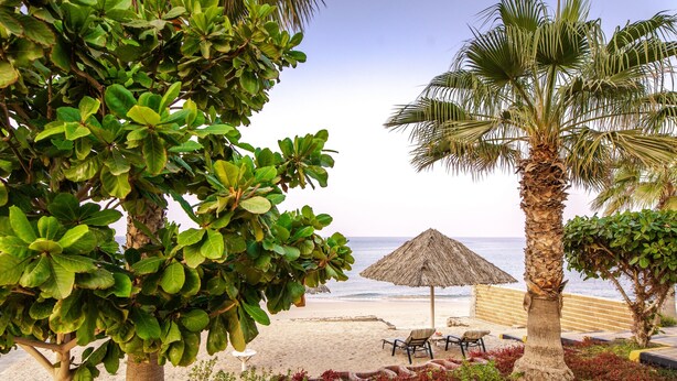 Suite, 3 Bedrooms, Jetted Tub | Garden view - Royal Beach Hotel & Resort (Dibba)