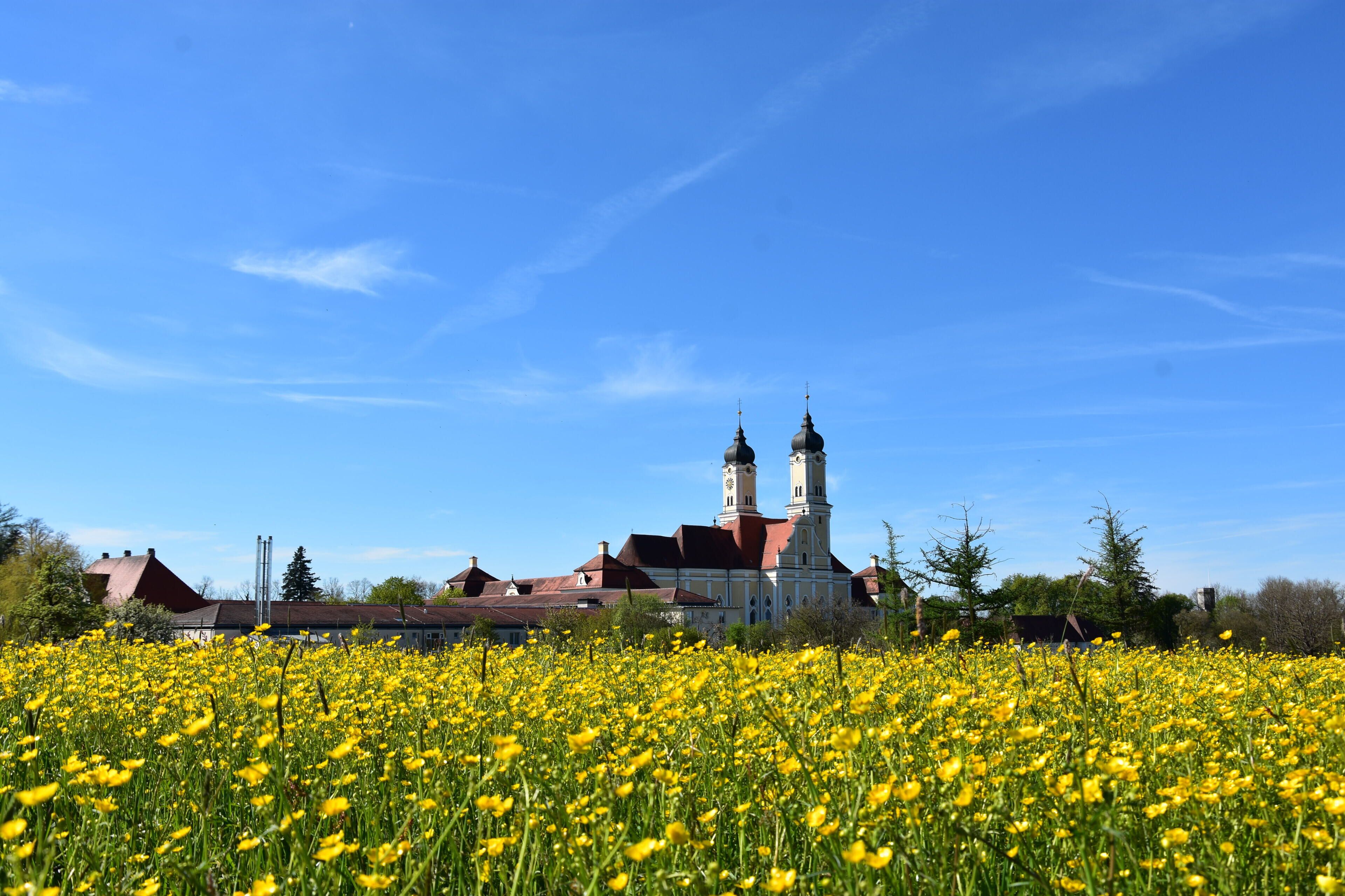 Een kerk met twee torens en een veld met gele bloemen op de voorgrond.
