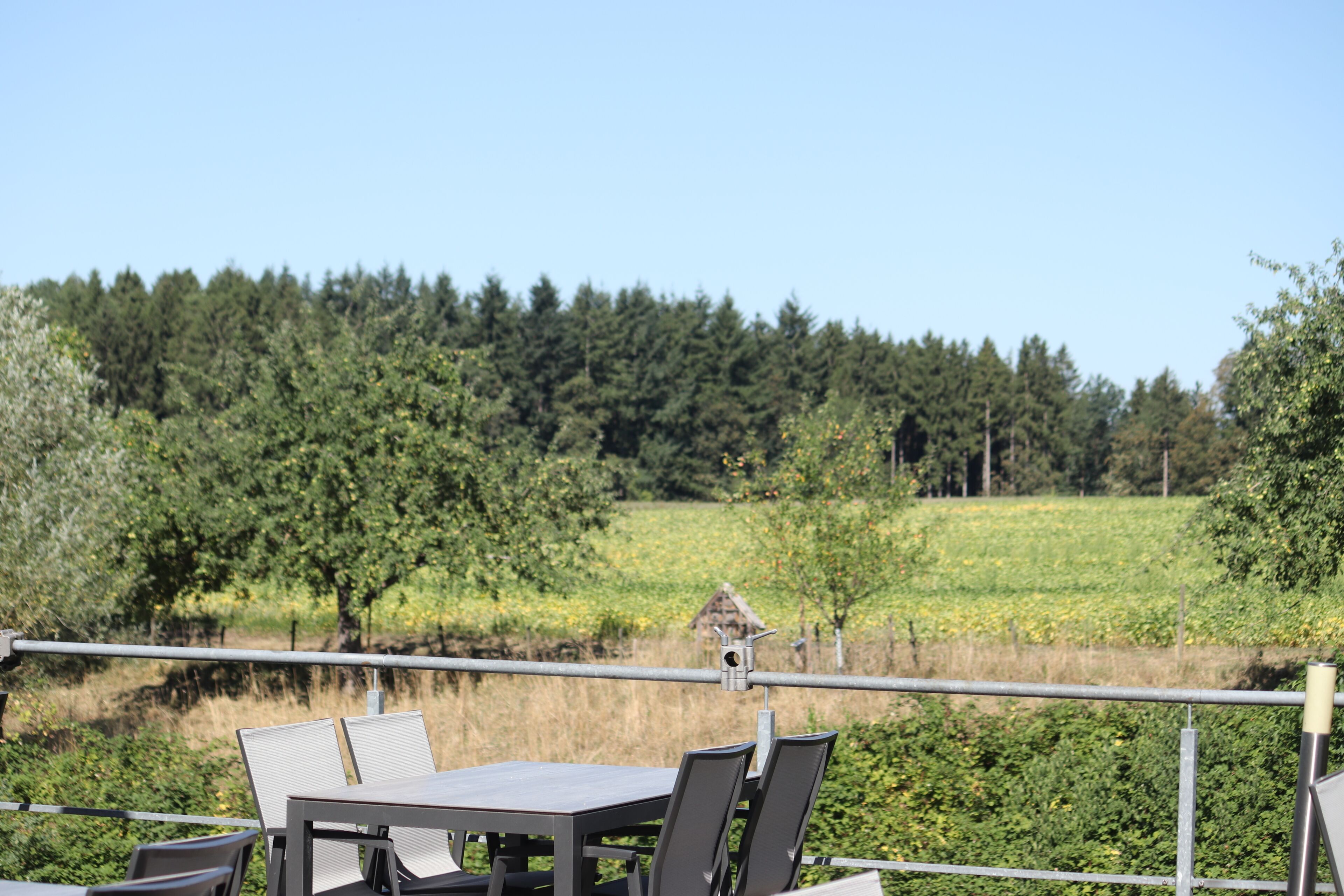 Land view from property