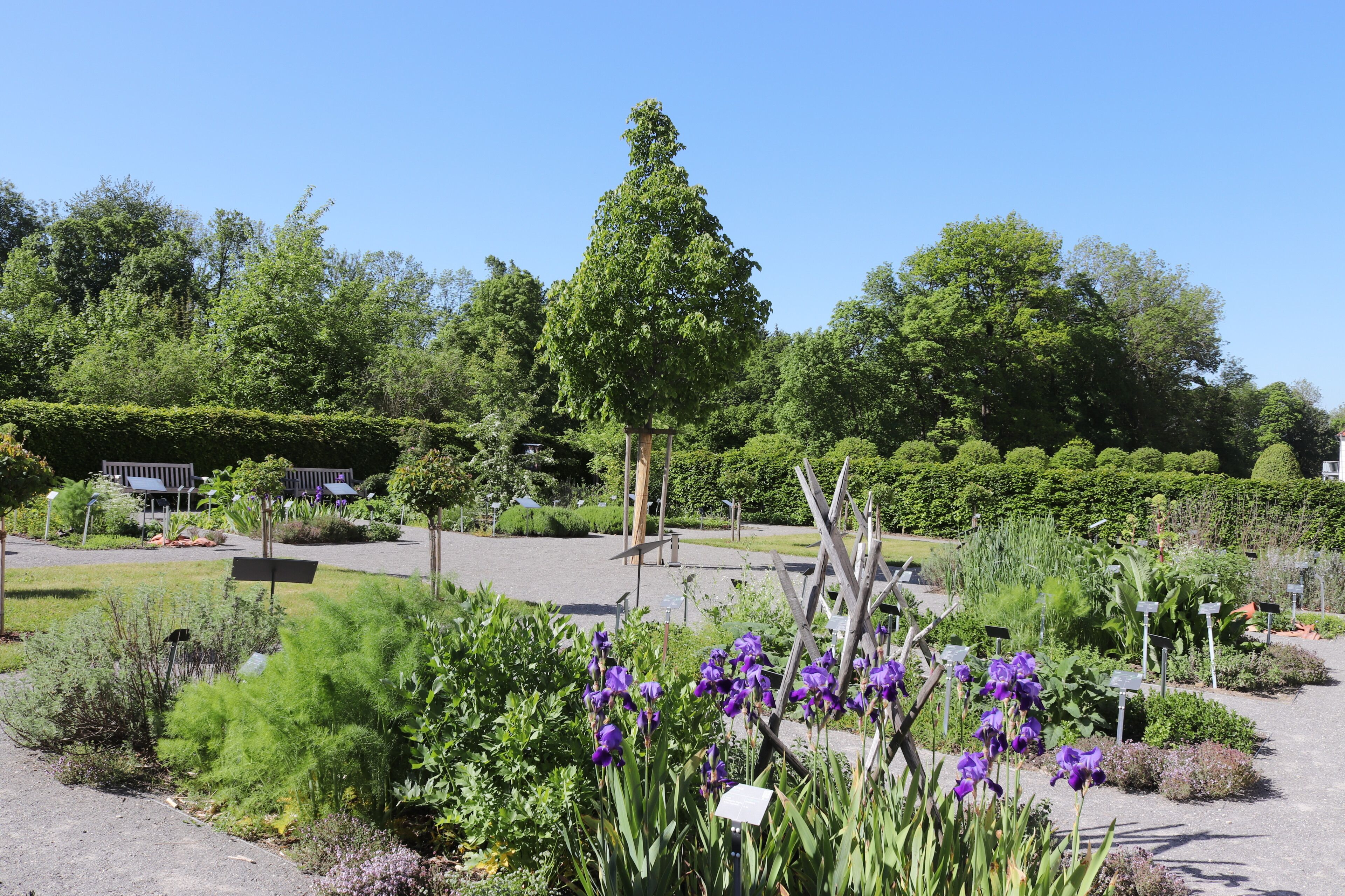 Een tuin met verschillende planten en een bank.
