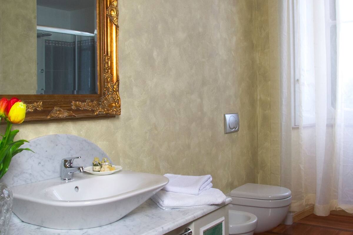 shower, free toiletries, hair dryer, bidet