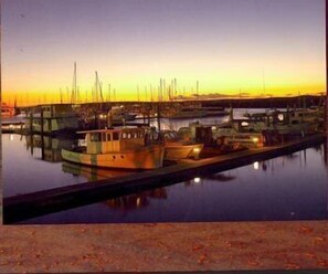 Ponton