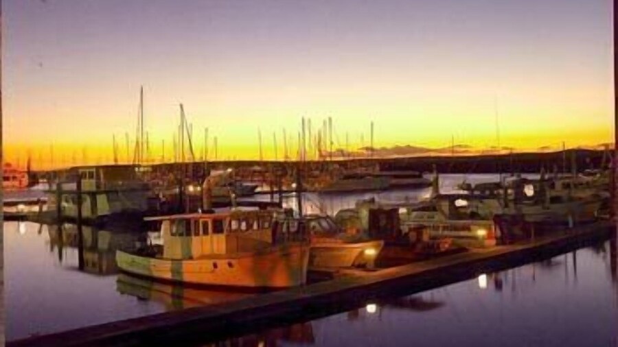 Boat Harbour Apartments