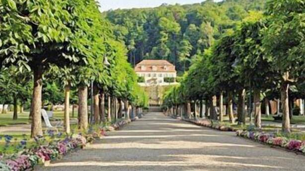 A pathway lined with trees leading to a building with a red roof. - Badhotel Bad Brückenau (Bad Brueckenau)